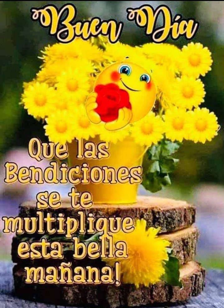 AMIGOS,GRUPO: BUENOS DÍAS!! FELIZ LUNES Y EXITOSA SEMANA! 🌞🙏🙏🙏💗🌻