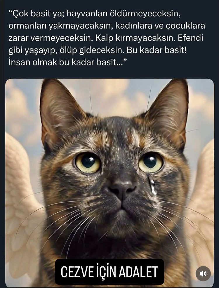 TCaysimozsoy's tweet image. Cezve için adalet