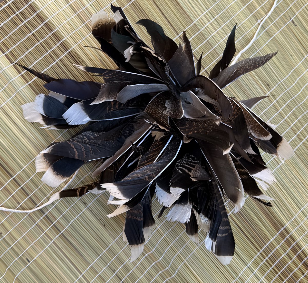 SMankentshane's tweet image. Inqubu yensizwa R800 - 0673943002 ngiseGoli

#imvunulo #amaqubu #isintu #zulu #zulutraditional