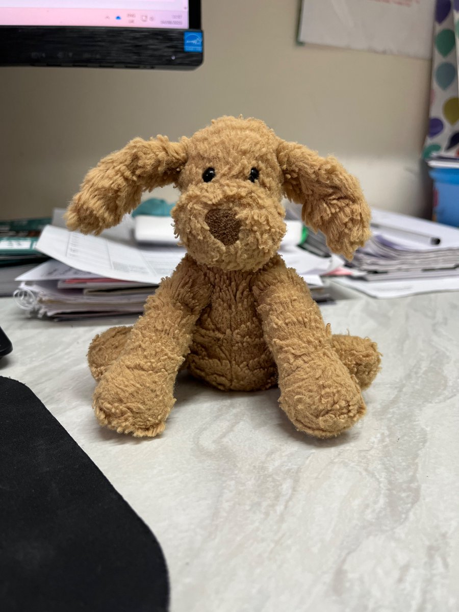 🐶 Lost Toy Alert!
This adorable pup was left behind in the auditorium after Sunday’s Annie rehearsals. If this little dog belongs to you (or someone you know), please contact our Box Office — they’re keeping it safe until it can be reunited with its owner!