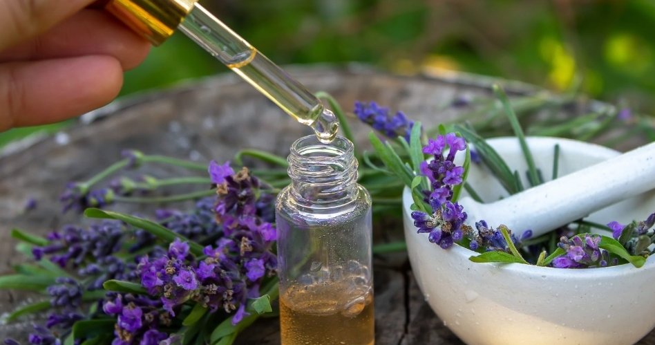 Lavanta Yağı 

*Baş ağrısı
*Kas ve eklem ağrıları
*Kaygı depresyonlar
*Akne
*Yara izi
*Egzama
*Sedef
*Böcek ısırmaları
*Yanık ve kesik
*Uyku kalitesi
*Saç sağlığı
*Güneş yanığı etkileri
*Virüsler 
*Hücre hasarları 
#adana #seyhan #çukurova #mersin #hatay #thai #oil #bali