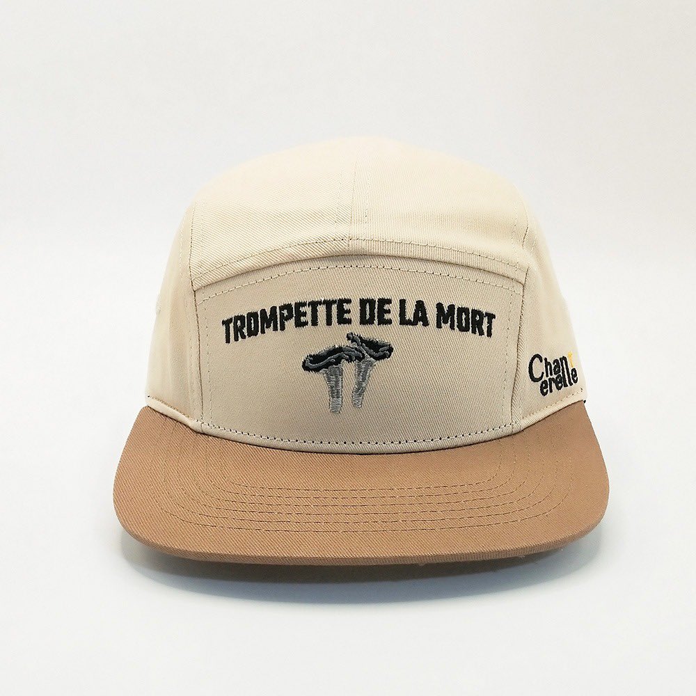 Jag har precis lanserat mitt nya företag Forest (4st) där vi säljer kepsar. Vi har börjat med en kollektion med en golfkeps och ett par olika kepsar med motiv av svart trumpetsvamp. 
Dela gärna länken: 4st.nu☺️