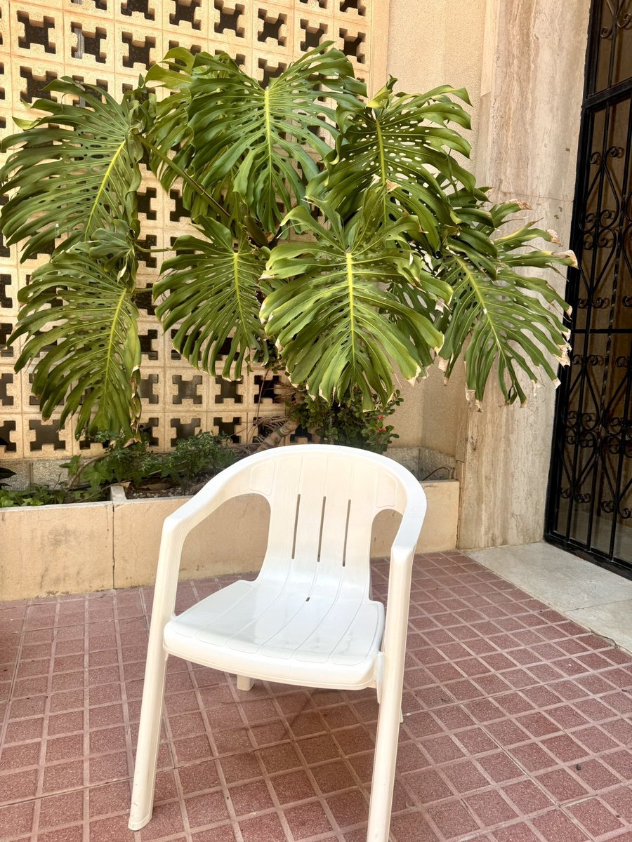 ZombieDAO tweet media