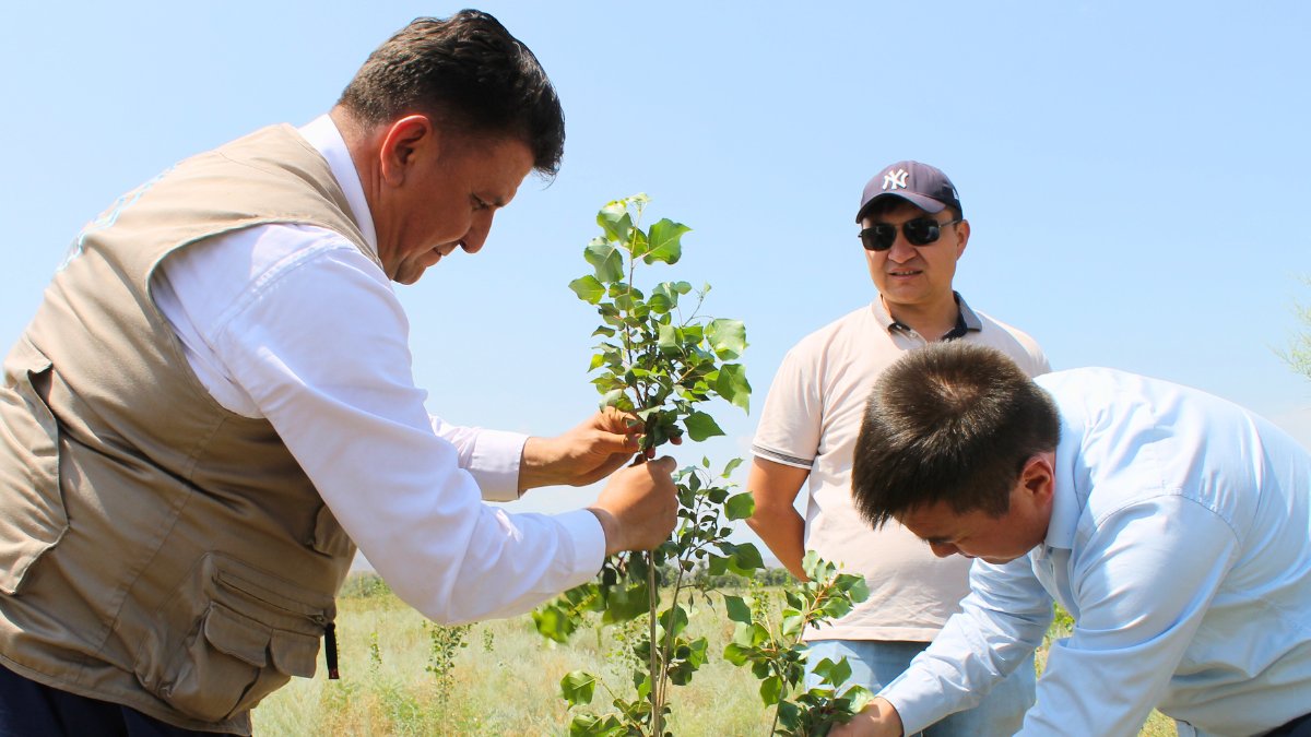 FAOKyrgyzstan's tweet photo. 🌱Oleg Guchgeldiyev, FAO Rep. in Kyrgyzstan met with local authorities and experts in Toguz-Toro district of the Jalal-Abad region to discuss climate-smart land use – from pasture rotation to fruit orchards – to boost resilience and support rural livelihoods. 
#FAO80 #CSFOR https://t.co/VZKz3kvVDg