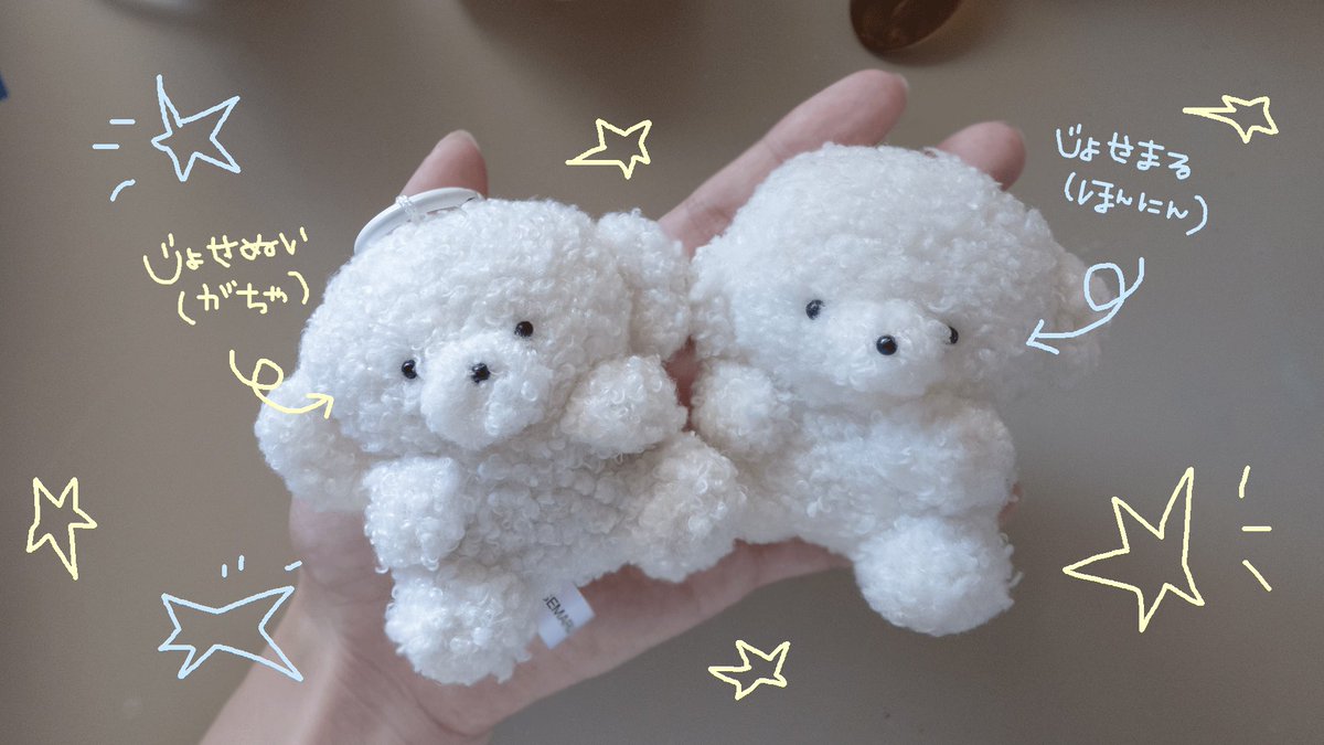 いのち屋 (@inochi_ya) / Posts / X