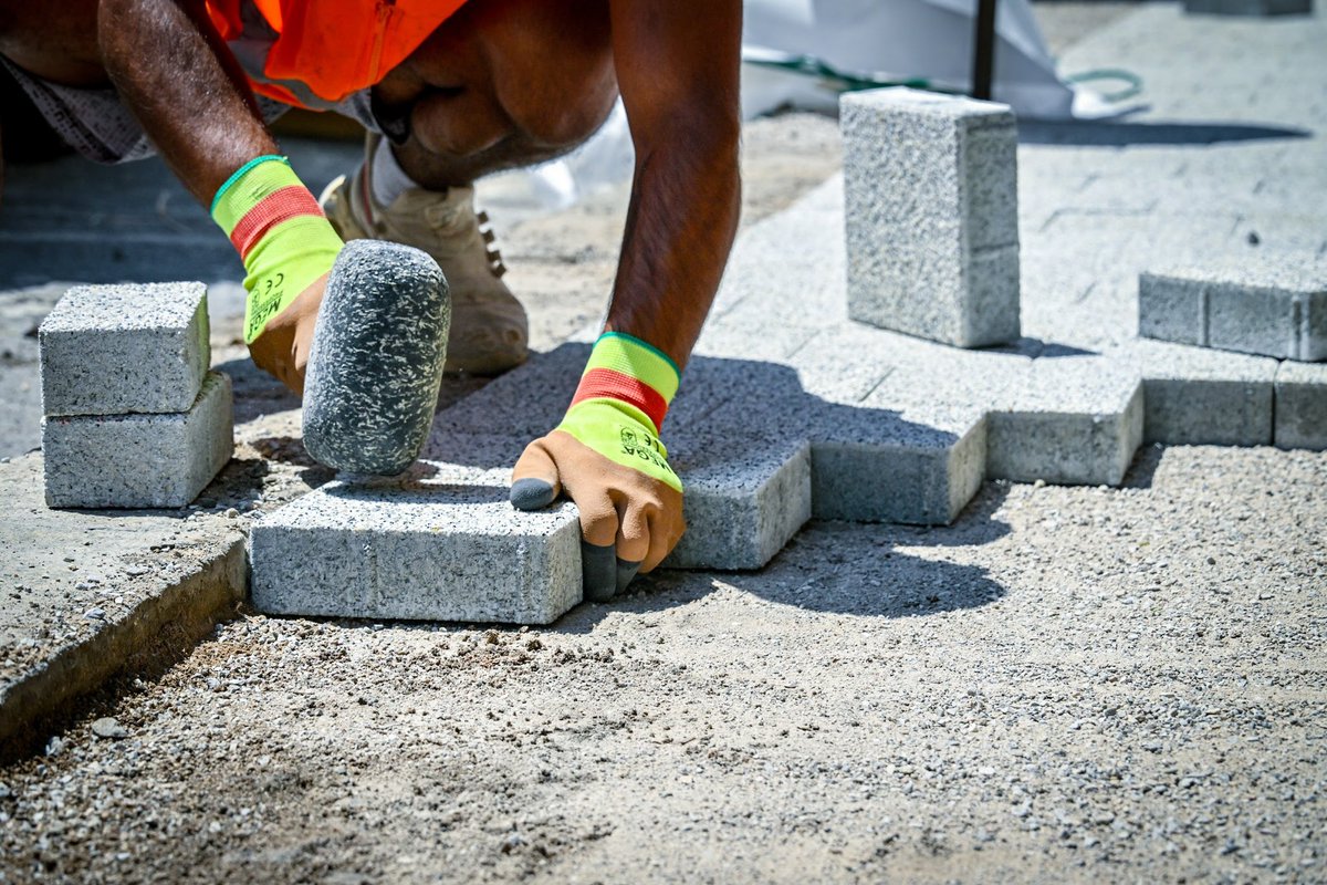 Vassil Terziev tweet media