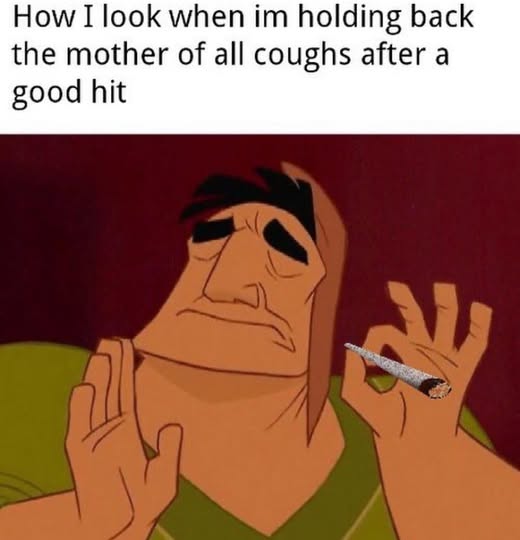 Me every morning 🤡