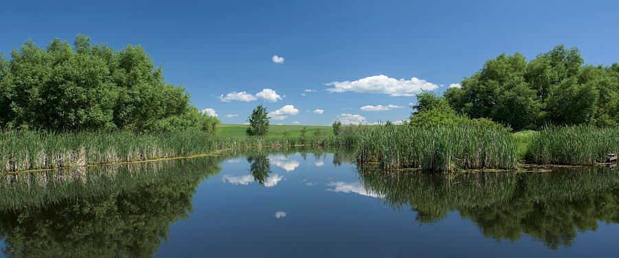 Photograph of a little pond in the palouse, Washington state.#Buyintoart #homedecor #homedecorating #interiordecor #interiordecorating #wallart #photography #art #aYearforArt #artprints #artforsale Please refer to link for info and pricing buff.ly/3C23YnD