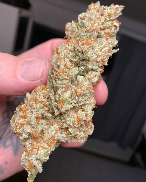 I have something for you! Be a good stoner 😜