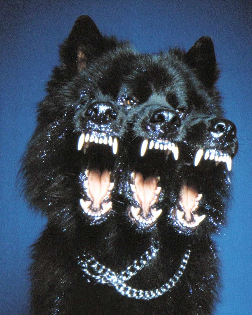 Stephan Vasement (@stephanvasement) on Twitter photo 