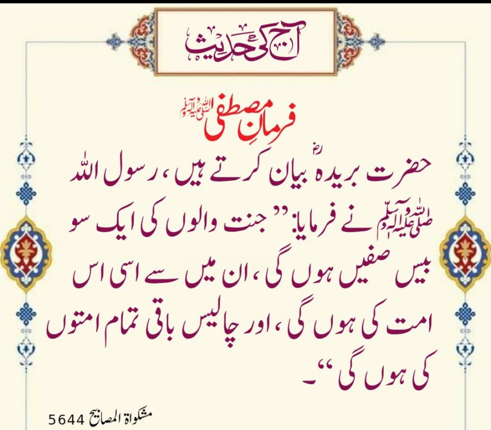 *السلام وعلیکم*🌹🌹

*شام بخیر*🪷🪷