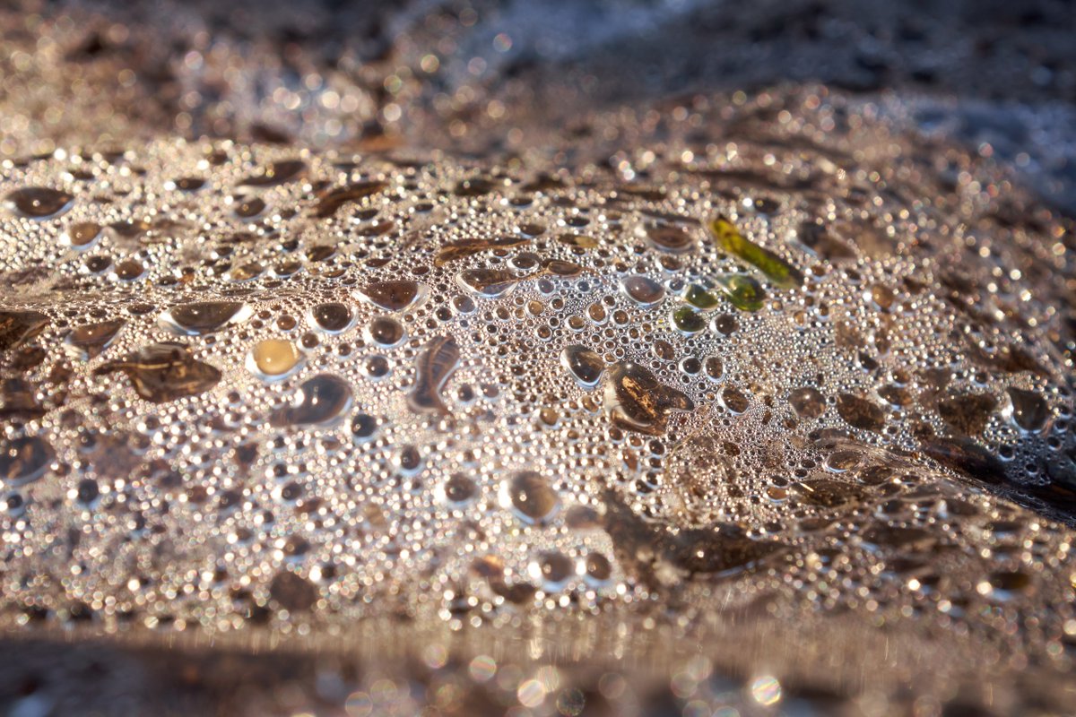 #VIRTIGATION partners LNW, <a href="/CTTecnova/">CT Tecnova</a>, <a href="/VolcaniCenter/">Volcani Center</a> &amp; WUR have assessed the effectiveness of two new methods to eradicate #tobamoviruses in #soil – #steaming and #solarisation: virtigation.eu/new-methods-er… #H2020 #EUFunded #PlantHealth #PlantScience #IPM
