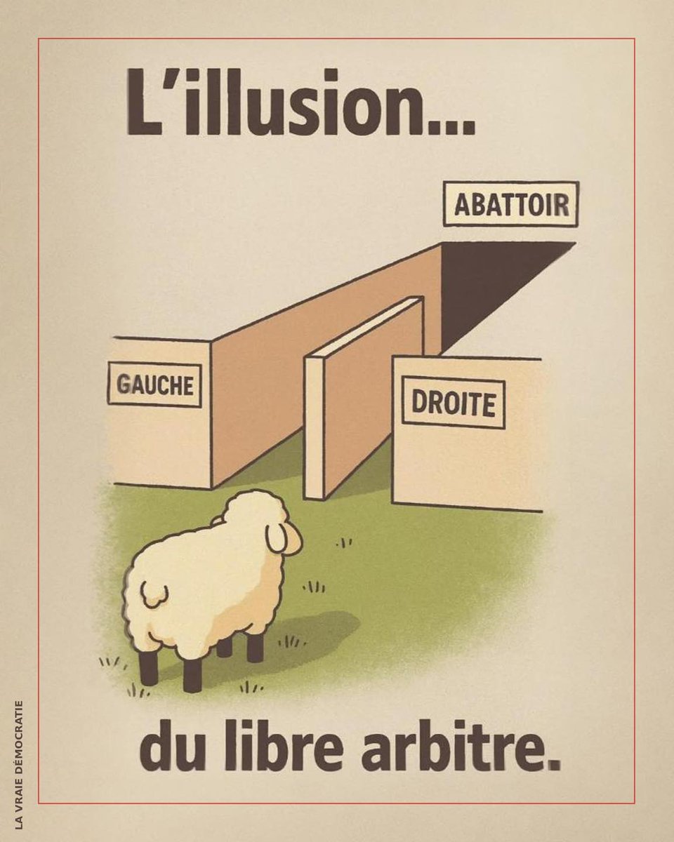 Madame Sans-Gêne 🐗🐗🐗 tweet media