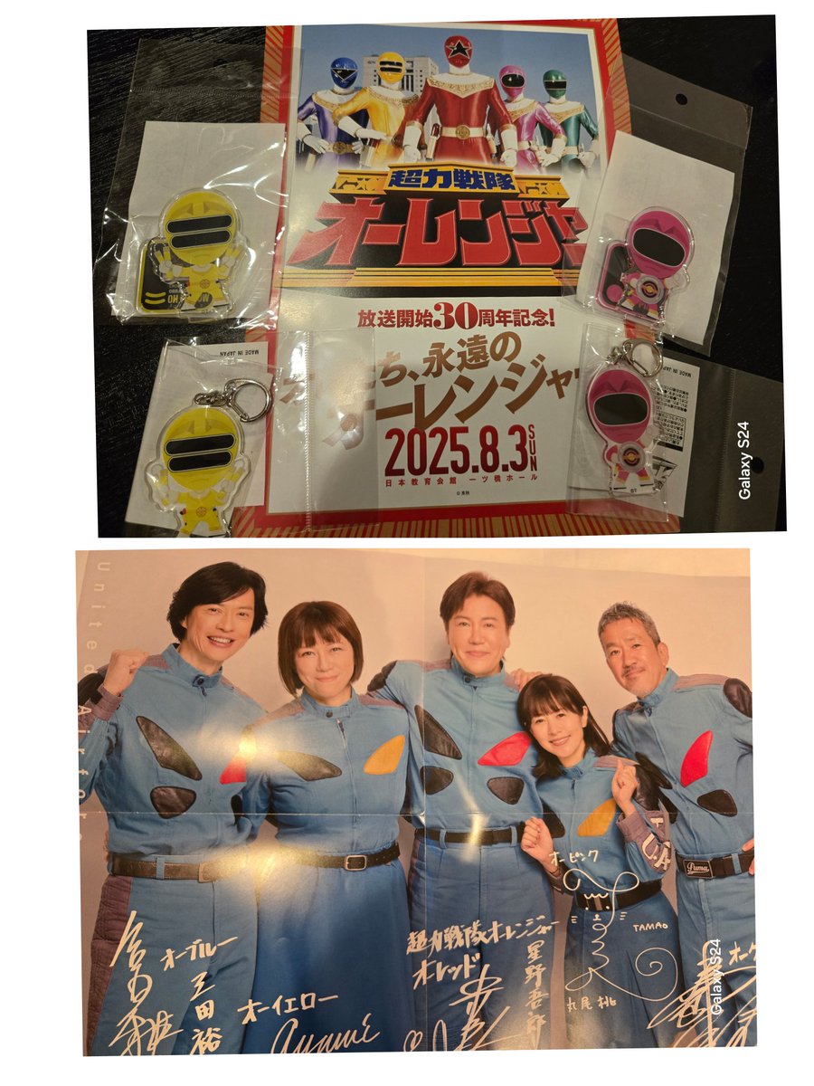 まゆページ 洗える】FORD / ウール配色メローハイネックカットソー