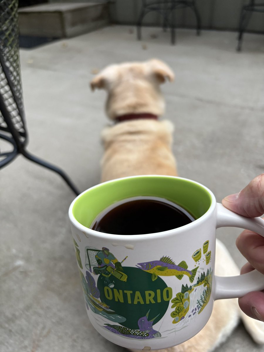 Bama26Point2's tweet image. 6:20am * 68°F is a wonderful relief morning from the heat and a very rare early August break in Bamaland * Oliver loving it on the patio as the sun rises #javajunkie