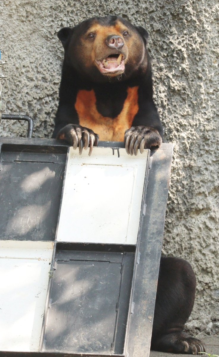 つかまるマーチンくんʕ•ᴥ•ʔ⬜⬛
🧡2025.8.2🧡