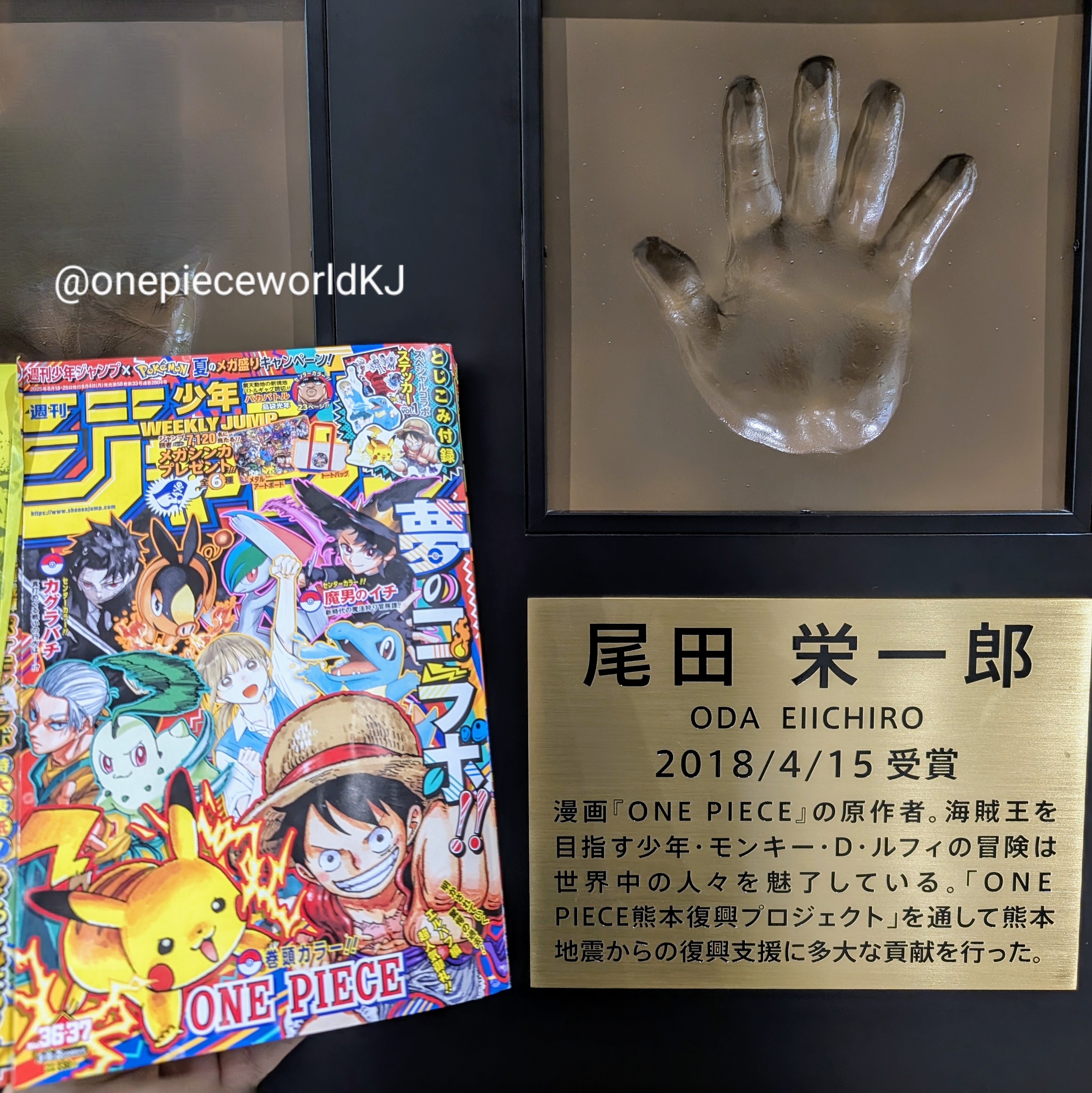 ワンピース　クリアしおり ONE PIECE - 【新品未使用】ワンピース 新四皇集結クリアしおり