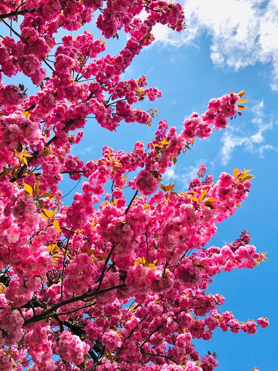 Solithra's tweet image. 