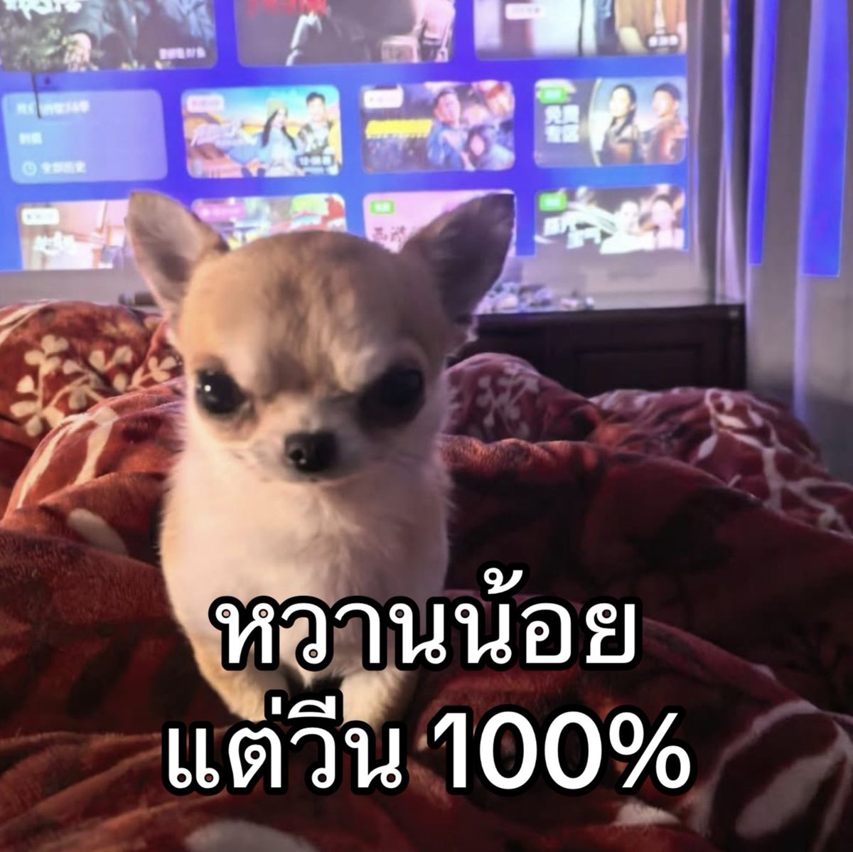 Tweet media one