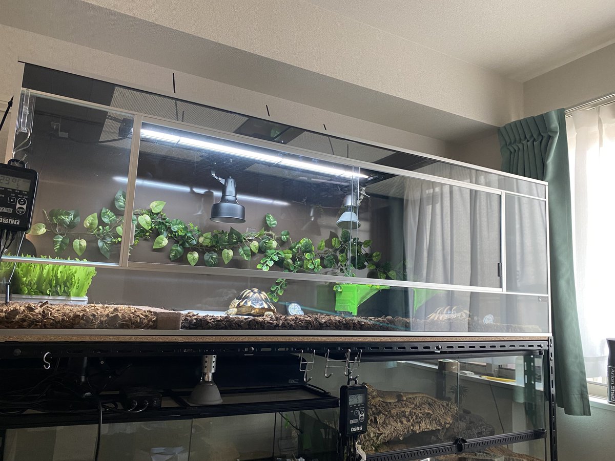 ken　龍匠ケージ ken 龍匠ケージ ken 龍匠ケージ ken 龍匠ケージ 龍匠オリジナル