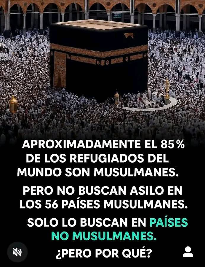 Zolxoníssimo tweet media