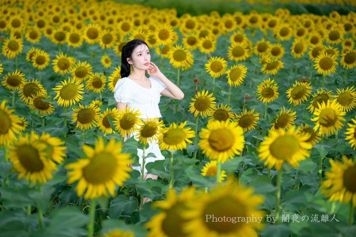 ⁡

                   ✼••┈┈ 𝐿𝑜𝑠𝑡 𝑖𝑛 𝑆𝑢𝑛𝑙𝑖𝑔ℎ𝑡 ┈┈••✼

📸photo by <a href="/yamiyo_02/">闇夜の流離人</a> さん