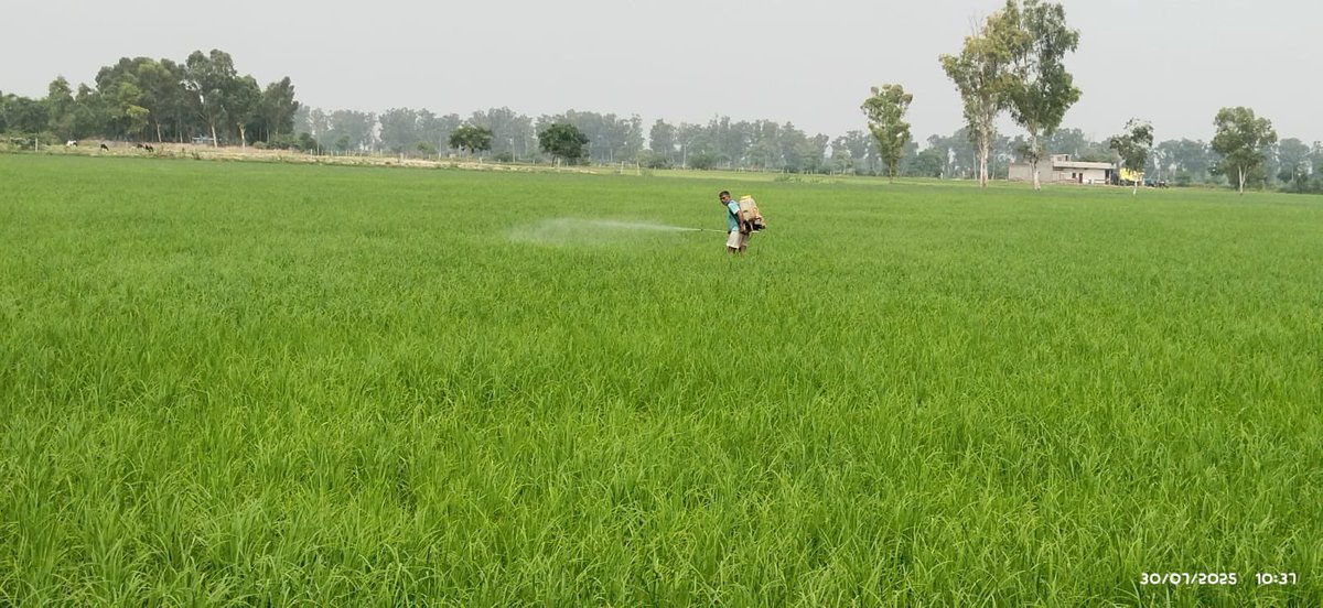 KiritkrJPatel's tweet photo. Congratulations to IFFCO Marketing team lead by Sh. @iffcoyogendra for increase in sales up to July 2025, IFFCO recorded a 19.57% increase in Nano Fertiliser sales, while Water-Soluble and Specialty Fertilisers grew by 8.00%. Sagarika Granules saw a strong growth of 94.76%, and Sagarika Liquid registered a remarkable 192.89% rise. Bio-fertilisers also increased by 3.61%. Additionally, POS sales recorded a YoY growth of 6.60%, reflecting steady momentum across all product segments.