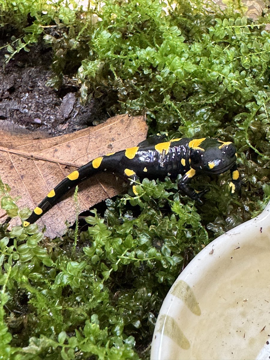 少し大きくなったかな？