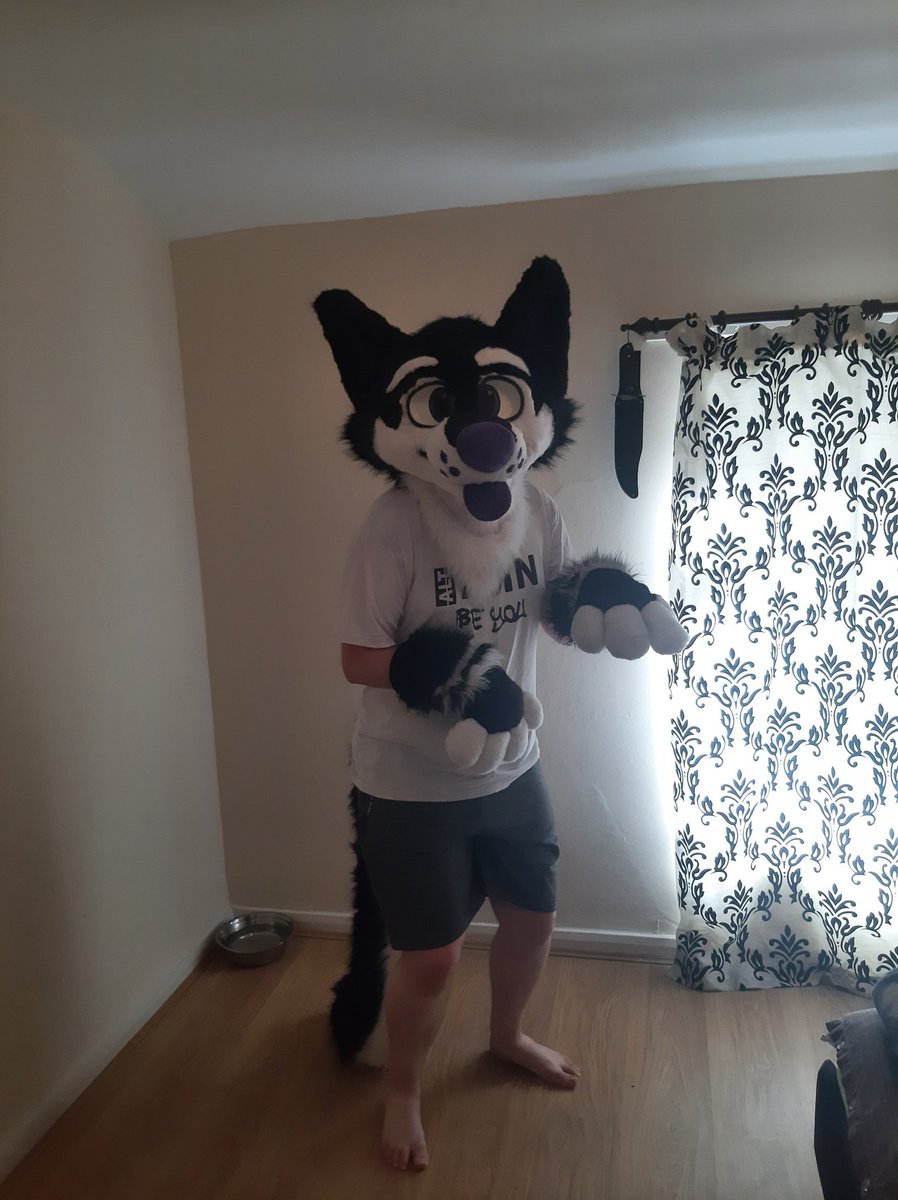 Felt disconnected with my sonas due to IRL stuff so thought I'd try reconnecting to them again 🥺

Normally I wouldn't admit to being cyute out of sheer stubbornness and being very self conscious, however looking at these that were taken today I might reconsider just this once