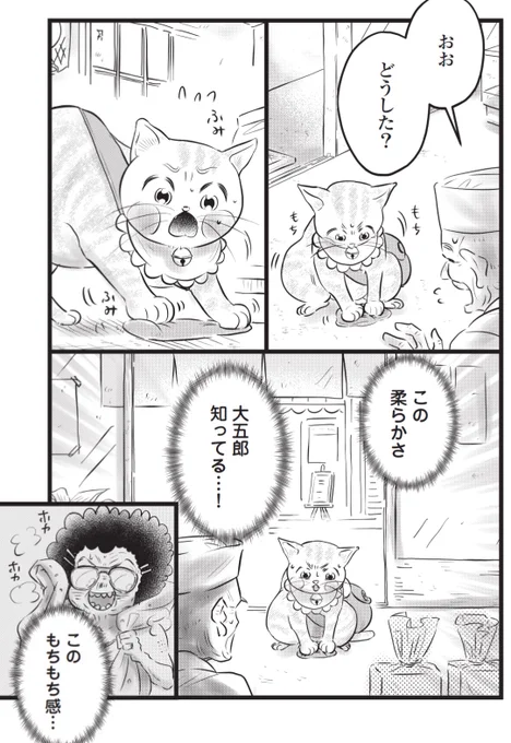 羽二重餅が飼い主の二の腕の感触に似ていて喜ぶ猫(2/4) 