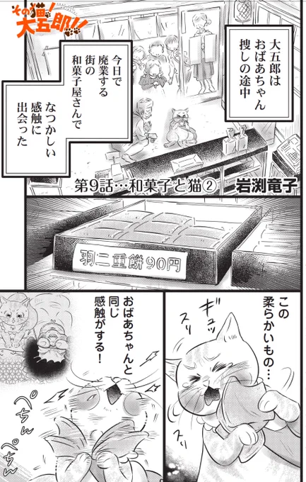 羽二重餅が飼い主の二の腕の感触に似ていて喜ぶ猫(3/4) 