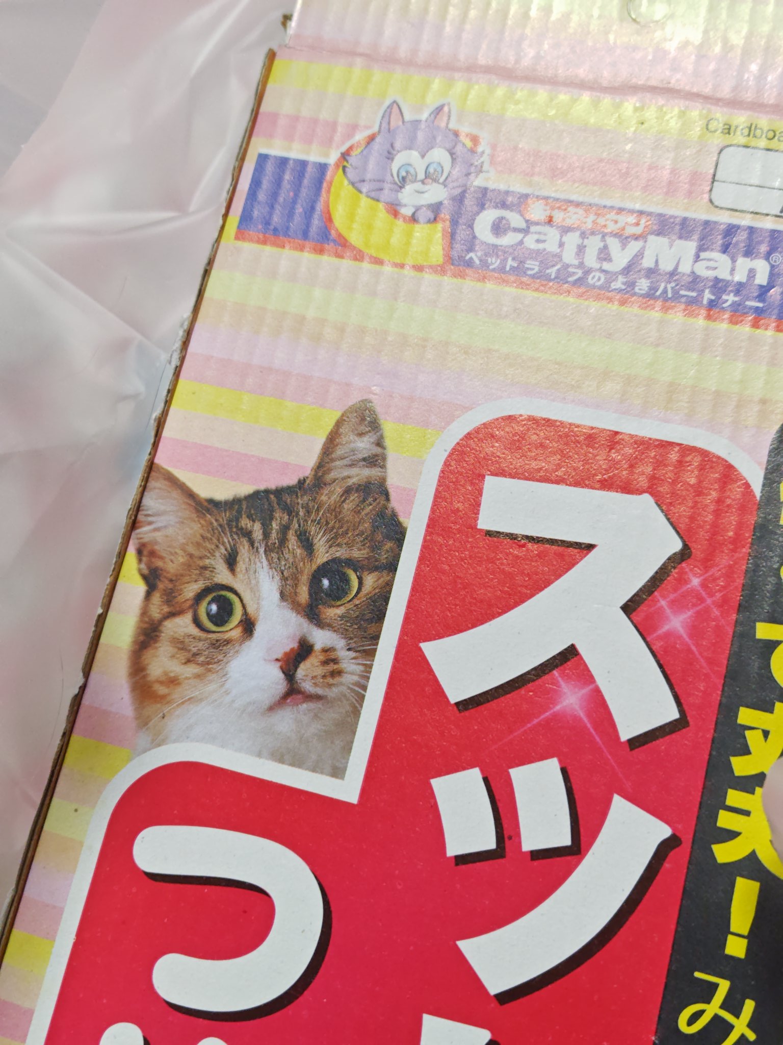 ᓚᘏᗢ蝦夷猫ᗢᘏᓗ (@Cats_guri1010) / X