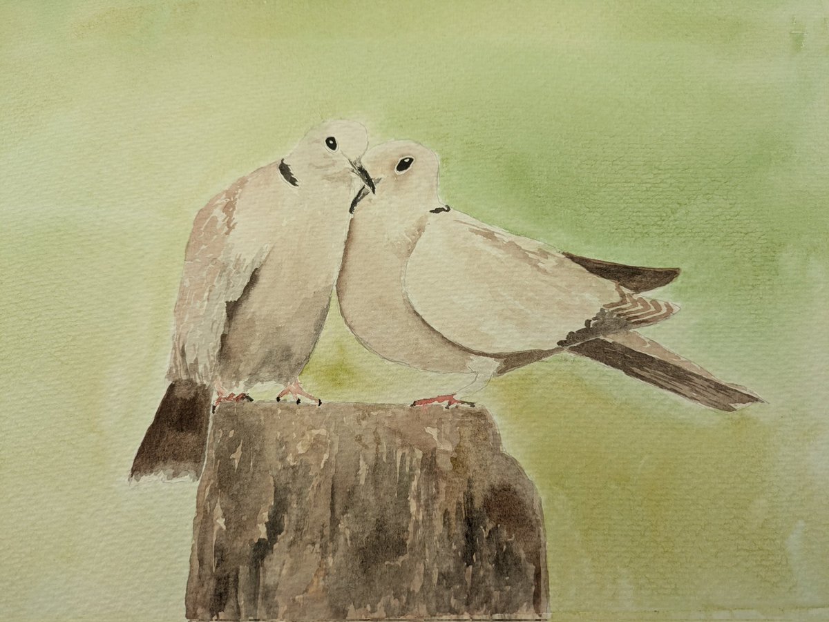 My watercolour #watercolor #art #aquarelle #bird #nature #watercolourart