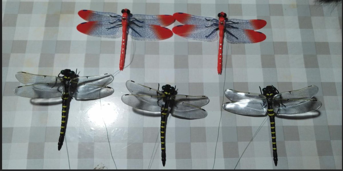 ダミーのトンボ効果確認

ツバグロヒョウモンの幼虫（イモちゃん）をハチから保護する為、ダミーのオニヤンマを使用してみました。どうせやるなら、アカトンボのダミーも使用して、どの様な事に成るか試してみり事にしました。対象はイモちゃんを狙ってやってくるアシナガバチとキイロスズメババチ