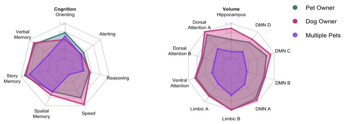 Pet ownership is associated with higher cognition &amp; larger brain structures.

These effects are the largest in dog owners.