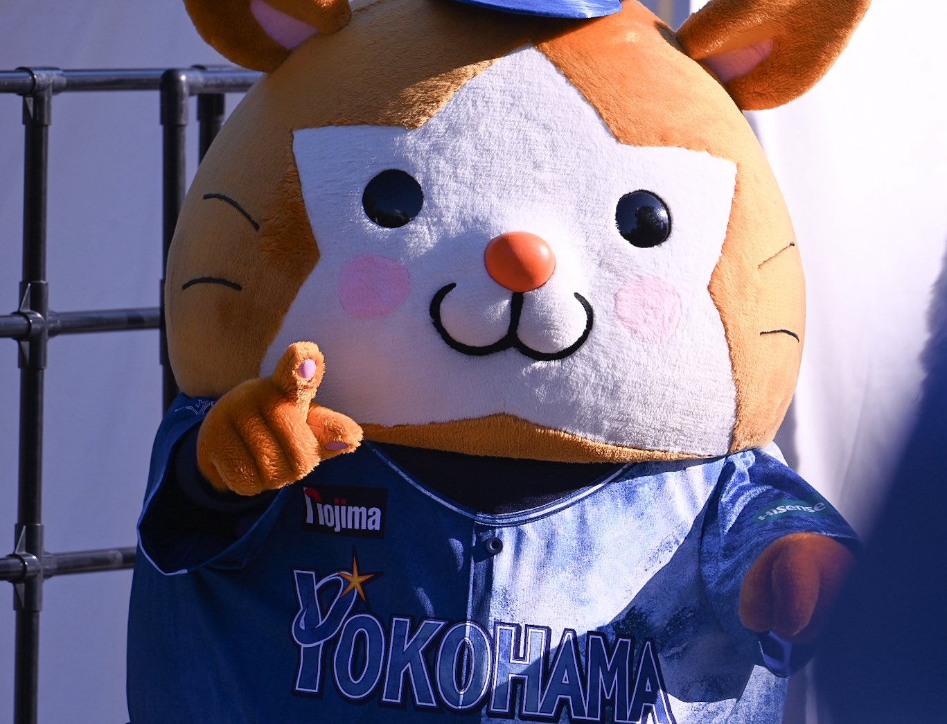 たぬき 000000002552-04-xl.jpg?t=