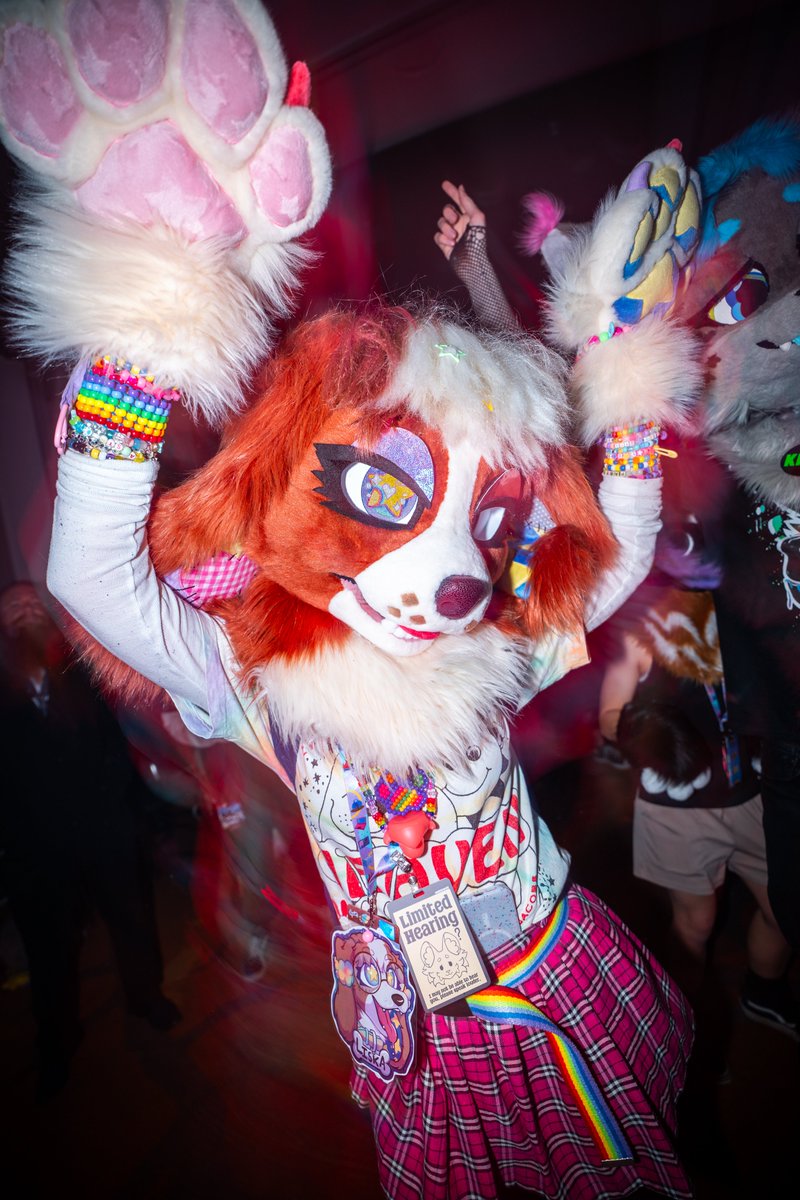 Snowy ❄️ 🔜furdu tweet media