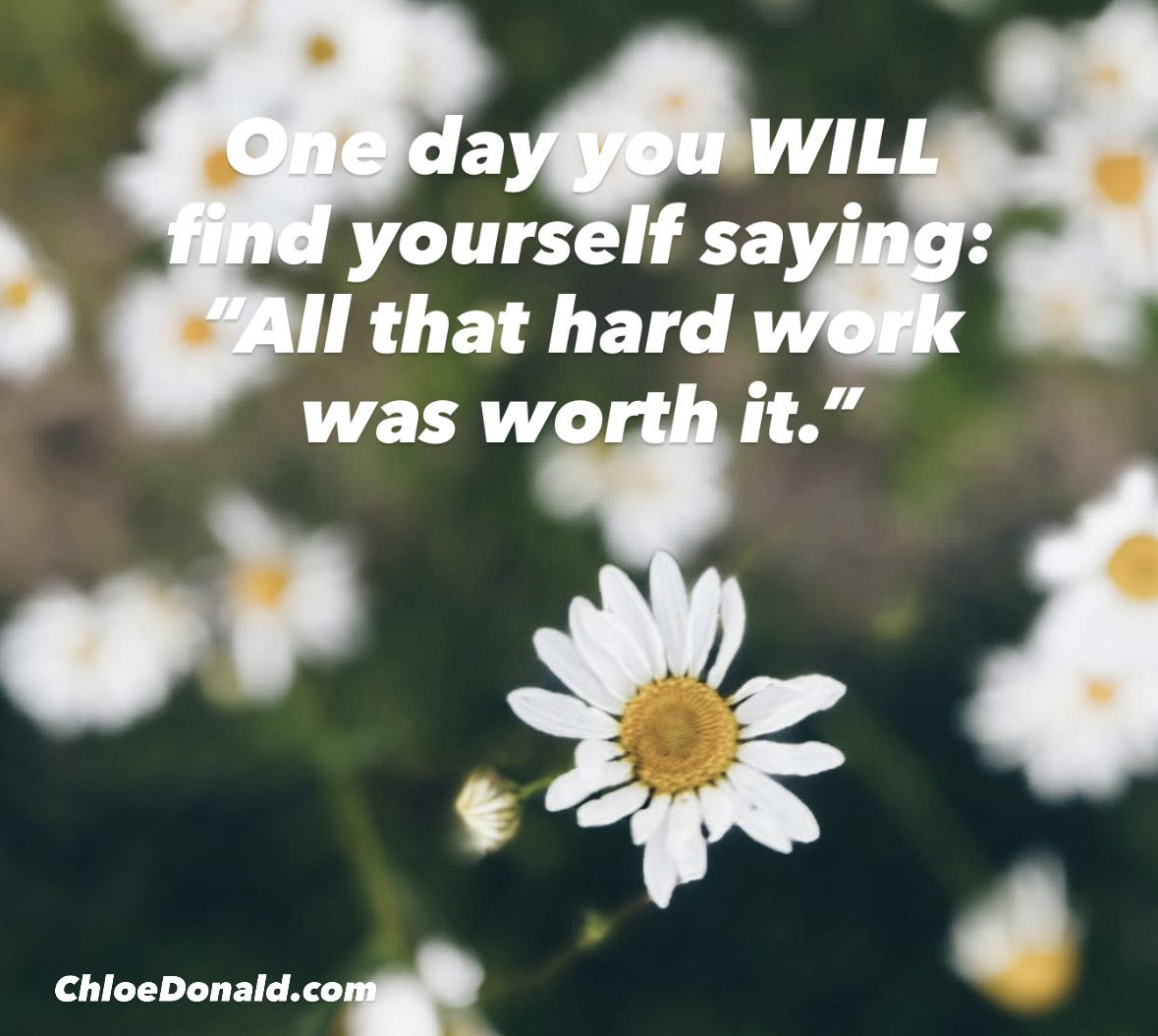 One day. Keep going🤞🏻🌼