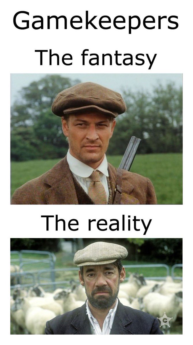 Love Is A Losing Gamekeeper #ASongOrMovieForAllSortsOfWork