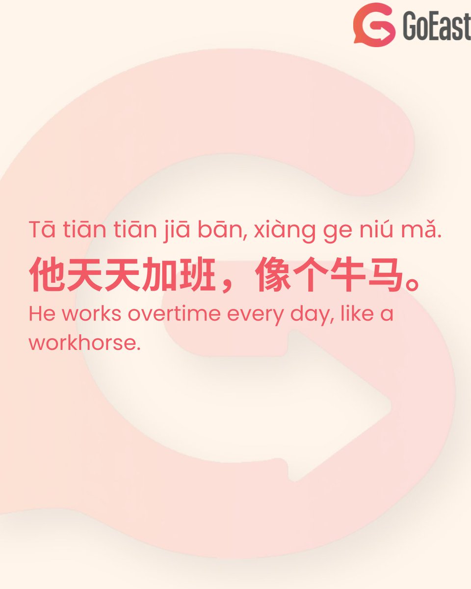 GoEast Mandarin tweet media