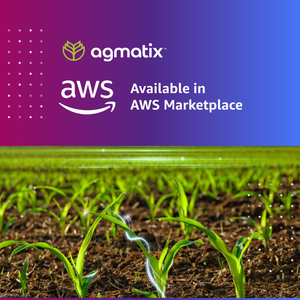 Did you know, Agmatix is available via the 𝗔𝗪𝗦 𝗠𝗮𝗿𝗸𝗲𝘁𝗽𝗹𝗮𝗰𝗲 giving enterprise customers fast, frictionless access to our agronomic data platform. 𝗚𝗲𝘁 𝘀𝘁𝗮𝗿𝘁𝗲𝗱 𝗵𝗲𝗿𝗲 &gt;&gt; hubs.li/Q03wfmDD0