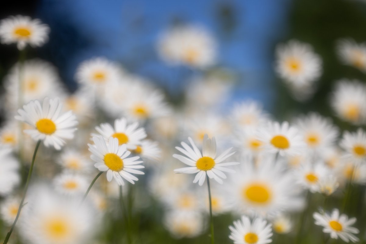 UCN Campuses will be closed this Monday, August 4, for Terry Fox Day and will return to regular business hours on Tuesday, August 5. 
Enjoy the long weekend!
📸: Doug Lauvstad