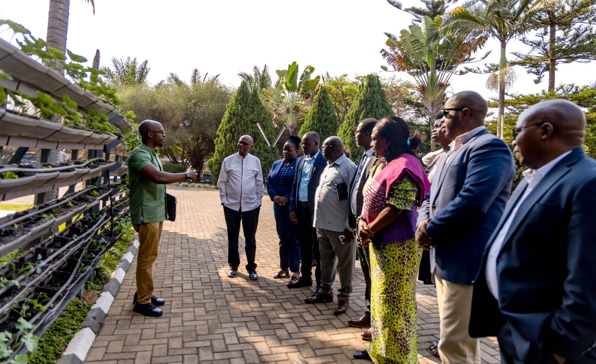 FAORwanda's tweet image. Today, @FAORwanda officially handed over a hydroponic vertical farm to @RwandaAgri.

As part of the #GreenCities initiative, this project ensures access to nutritious food &amp;amp; green spaces while building resilient #FoodSystems &amp;amp; creating employment opportunities for youth.

#SDGs