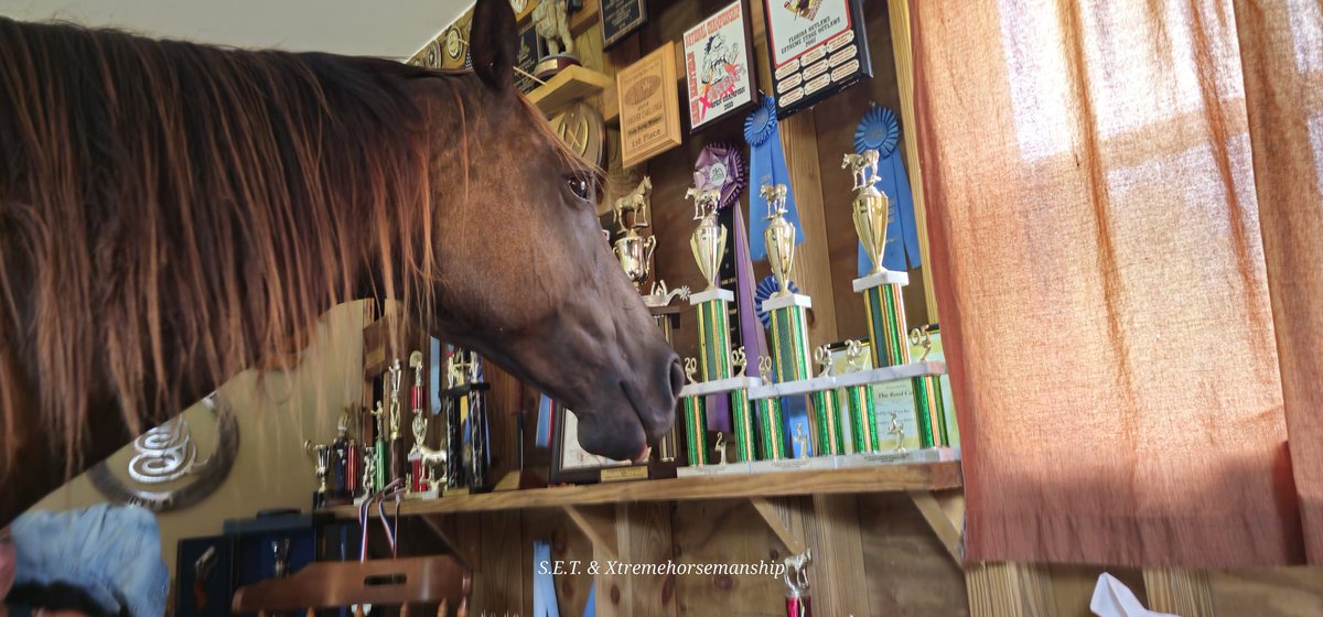 Eric Ryan Anderson tweet media