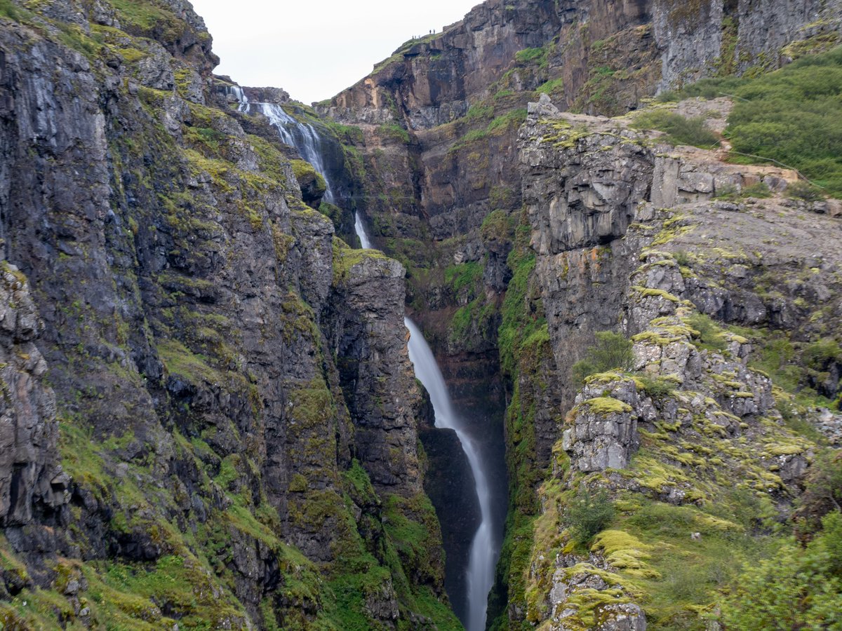 WeaselSec tweet media