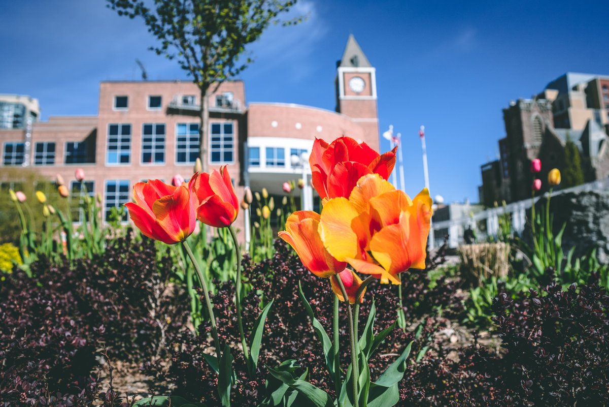 City of Brampton (@citybrampton) on Twitter photo Today is the Civic Holiday in #Brampton. Please remember:
โก๏ธ City Hall is closed
โก๏ธ <a href="/BramptonTransit/">Brampton Transit</a> is operating on a Sunday/Holiday schedule
โก๏ธ Select #BramptonRecreation centres are operating under modified hours
โก๏ธ <a href="/BramptonLibrary/">Brampton Library</a> is closed
โก๏ธ Contact 311 for any inquiries Today is the Civic Holiday in #Brampton. Please remember:
โก๏ธ City Hall is closed
โก๏ธ <a href="/BramptonTransit/">Brampton Transit</a> is operating on a Sunday/Holiday schedule
โก๏ธ Select #BramptonRecreation centres are operating under modified hours
โก๏ธ <a href="/BramptonLibrary/">Brampton Library</a> is closed
โก๏ธ Contact 311 for any inquiries