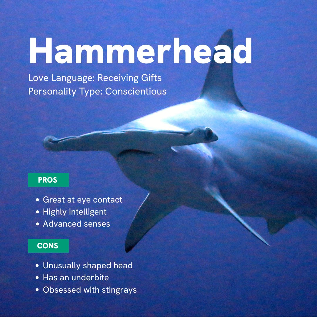 NWF's tweet image. Have you ever heard the saying, “There are plenty more fish in the sea?" 🐟🐟🐟🐟🐟

It’s #SharkWeek, and even these mega-predators of the sea need love. Want to learn about their love languages and personality types? 👀

Look (or swim) no further 📲: natwild.life/SharkWeek