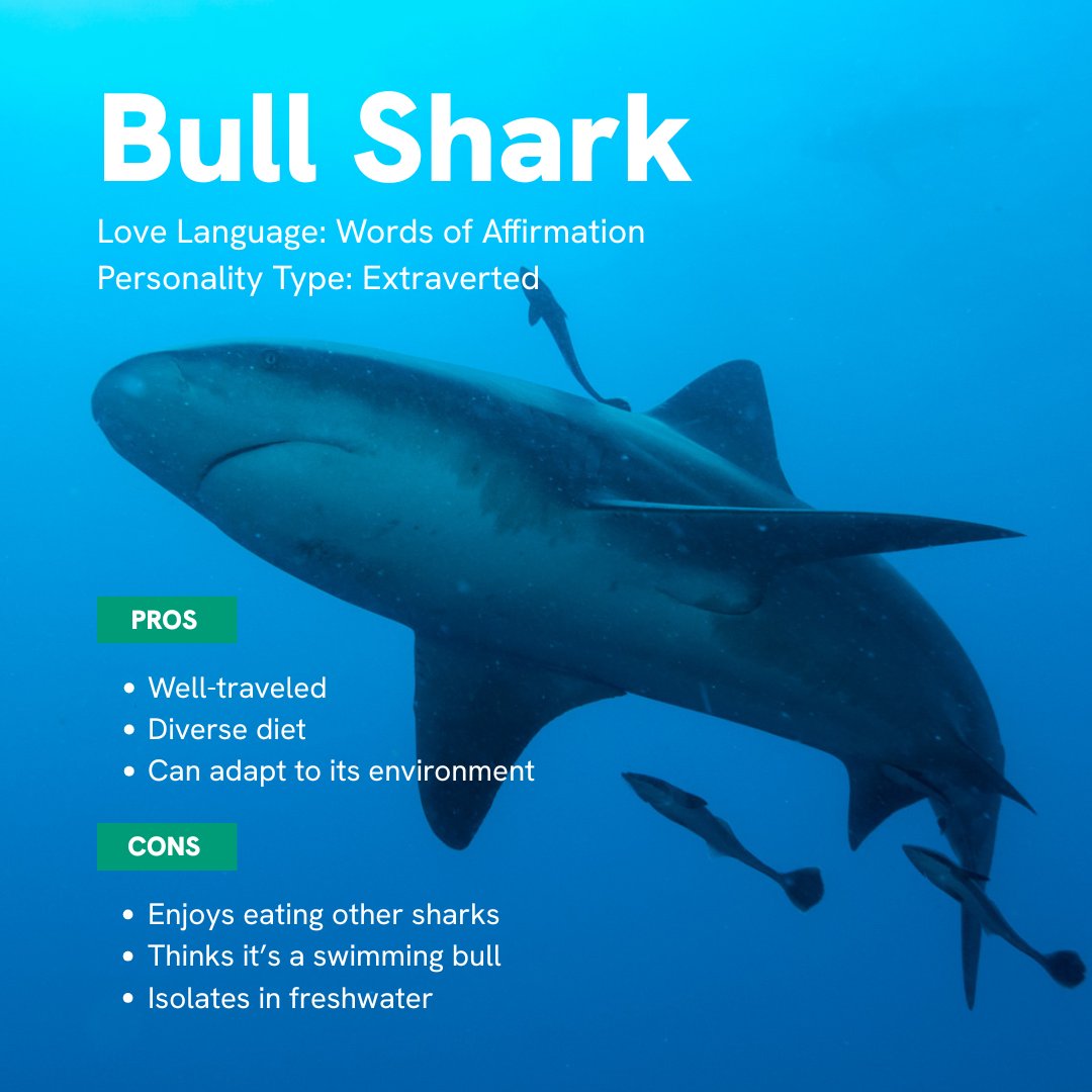 NWF's tweet image. Have you ever heard the saying, “There are plenty more fish in the sea?" 🐟🐟🐟🐟🐟

It’s #SharkWeek, and even these mega-predators of the sea need love. Want to learn about their love languages and personality types? 👀

Look (or swim) no further 📲: natwild.life/SharkWeek