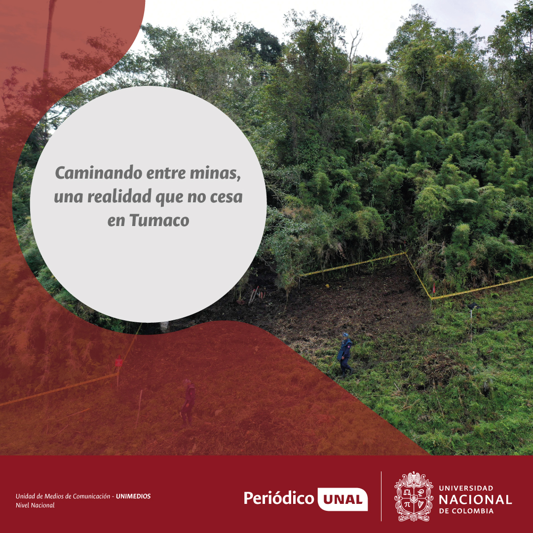 #PeriodicoUNAL | Una nueva herramienta geoespacial desarrollada en la UNAL revela patrones de ubicación de minas antipersonales en Tumaco, donde más de 1.000 eventos han dejado a comunidades atrapadas entre explosivos. 

ow.ly/7EZ350WzbJw