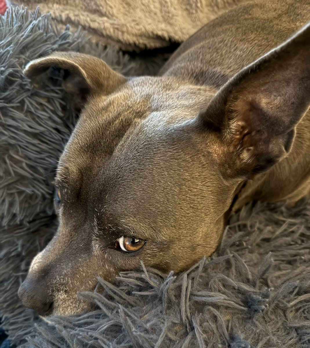 Isa Mary tweet media